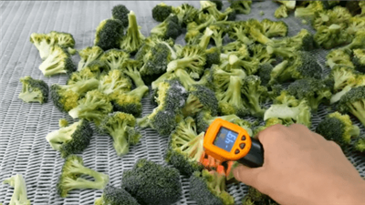 Brócolis congelado rápido 2T/H Tunnel Freezer rápido