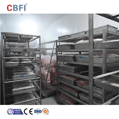 Congelador Rápido Rápido